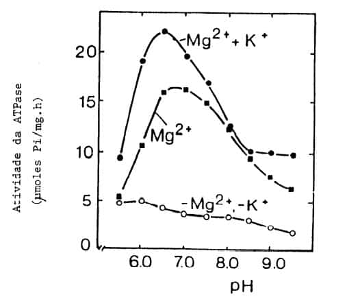 Atividade de ATPase de fração de membrana de raízes de milho, influenciada pelo pH, potássio e magnésio (Fontes: LEONARD & HOTCHRISS apud MARCHNER, 1986)