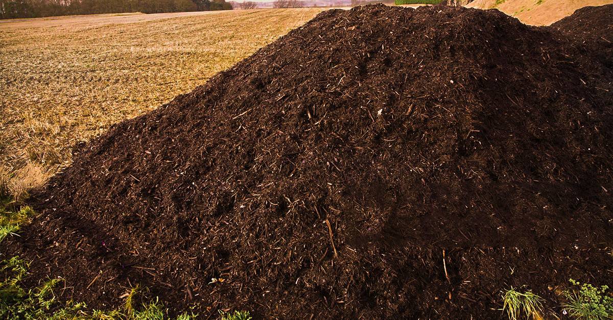Laercio Dalla Vecchia conta como o BAKS® ajuda a enriquecer o composto orgânico