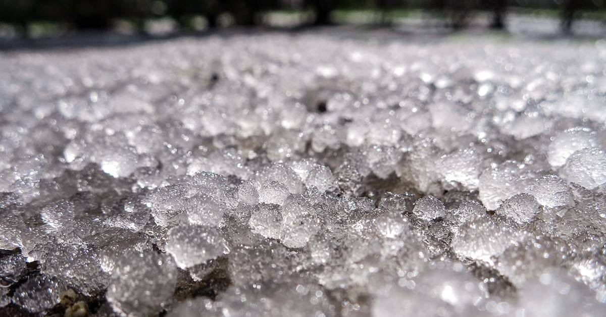 Como a aplicação de boro auxilia na recuperação de lavouras destruídas pelas chuvas de granizo?