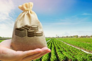 Entenda os Sistemas Agrossilvipastoris