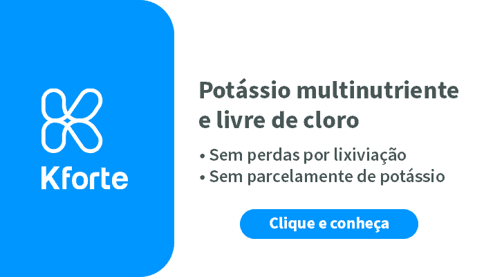 Lavoura De Cana-De-Açúcar: Como Melhorar A Fertilidade Do Solo? - Banner Potassio K Forte