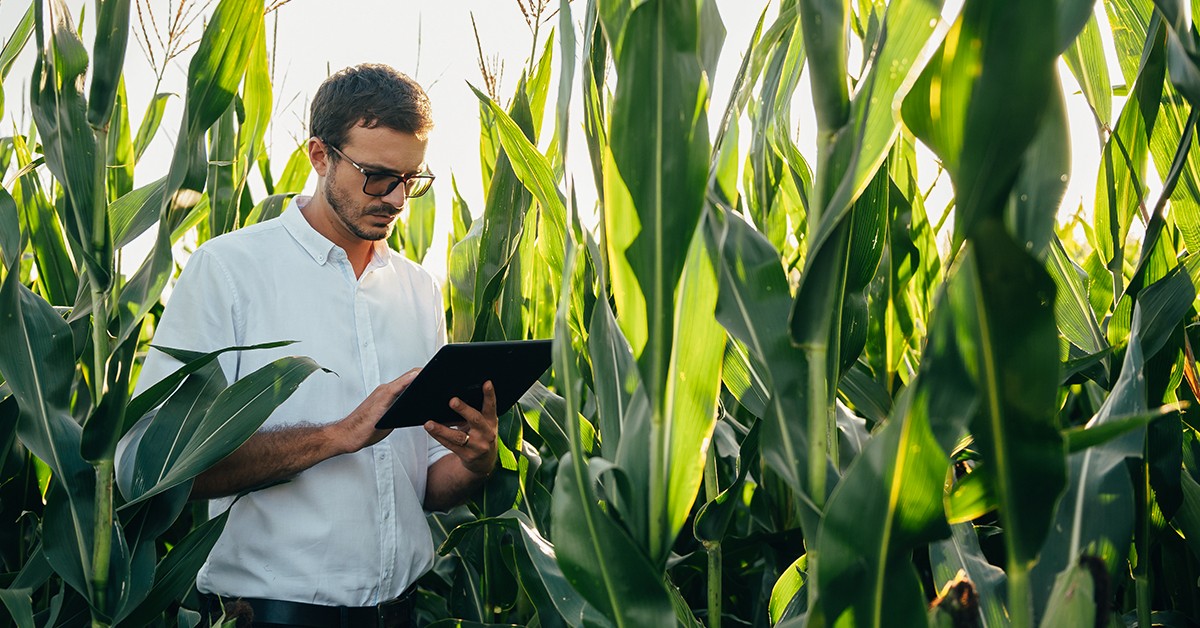 Planejamento agrícola: o que é e como fazer?
