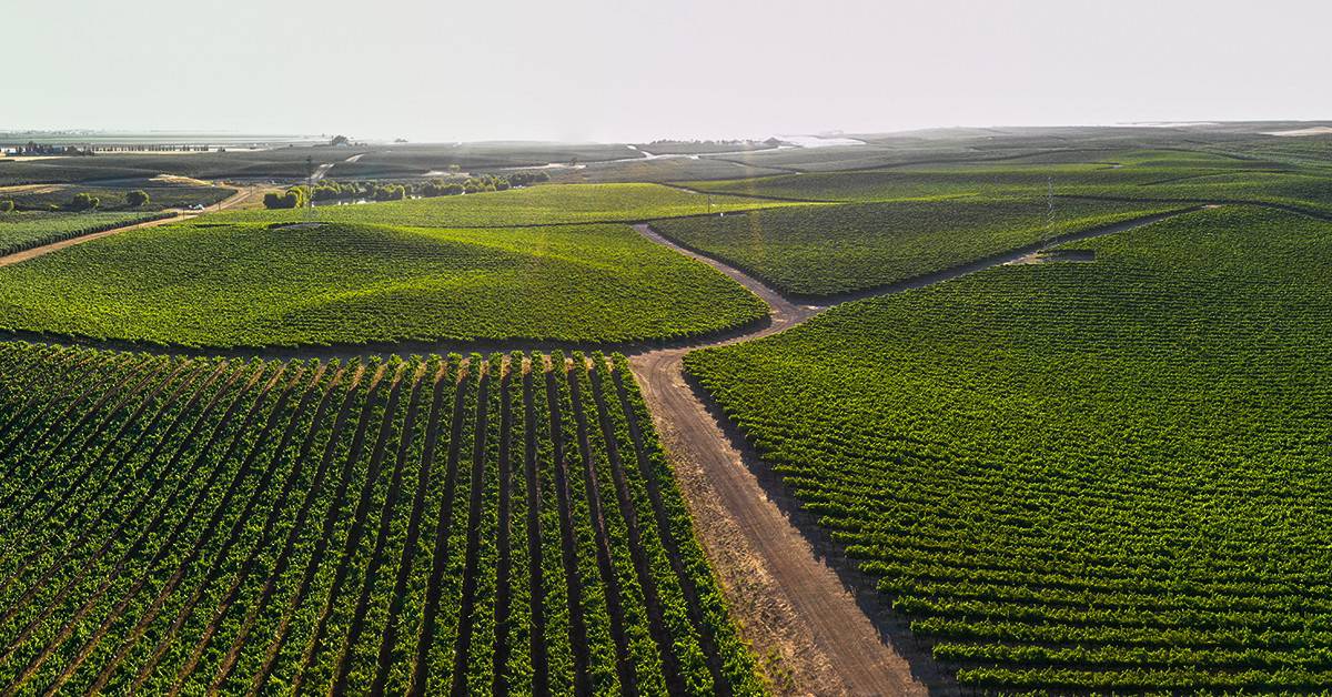 Veja o que os agricultores que utilizam o K Forte® e o BAKS® têm a dizer sobre esses fertilizantes inovadores e eficientes