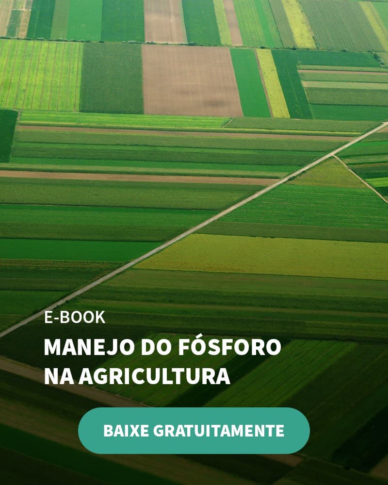 Veja Os Preços Do Cloreto De Potássio E Outros Fertilizantes Usados Na Agricultura Brasileira - Banner Ebook Blog 2