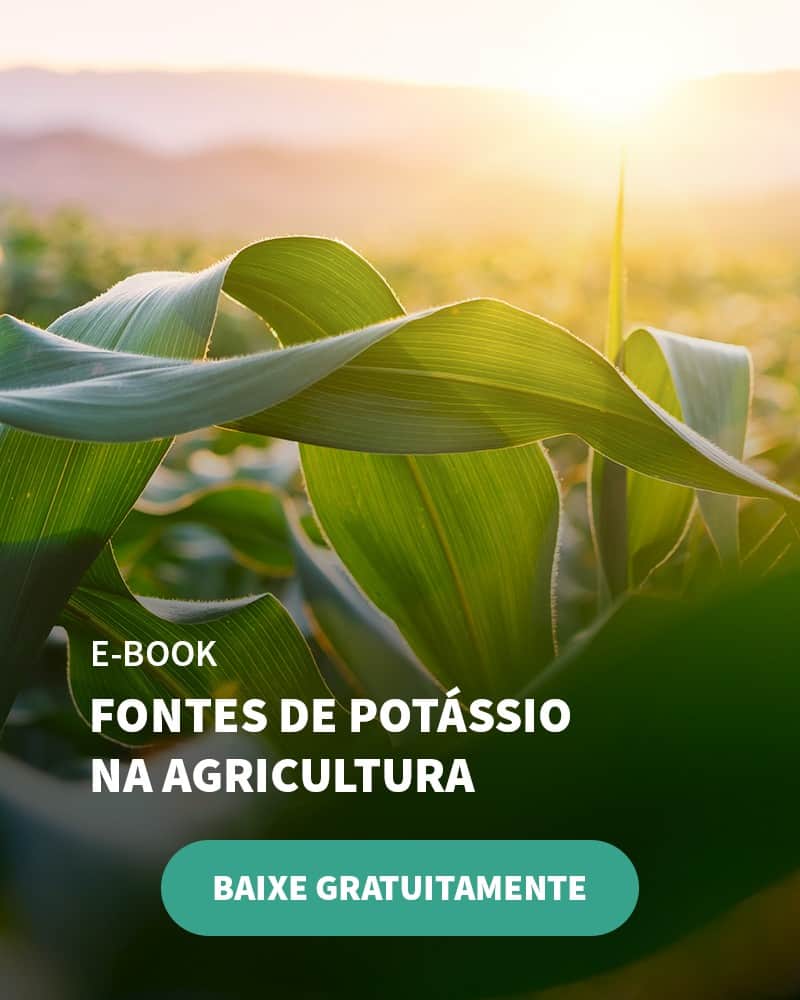 Saiba O Que É O Cloreto De Potássio E Veja Se Vale A Pena Usar Esse Fertilizante - Banner Ebook Blog 3