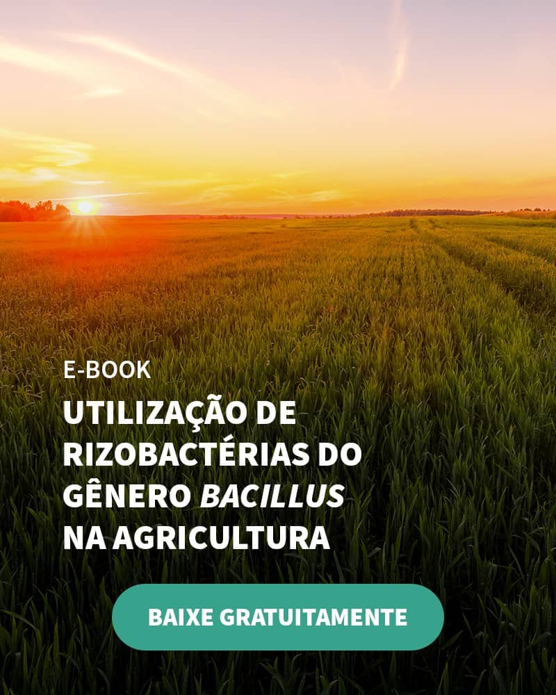 Por Que É Importante Investir Na Agricultura De Baixo Carbono? - Banner Ebook Blog 4