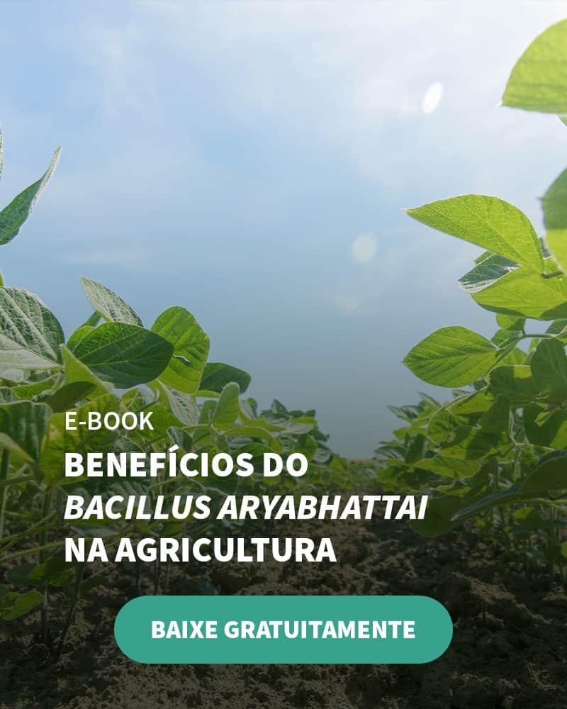 O Que São Commodities Agrícolas E Qual A Sua Influência No Agronegócio? - Banner Ebook Blog 5
