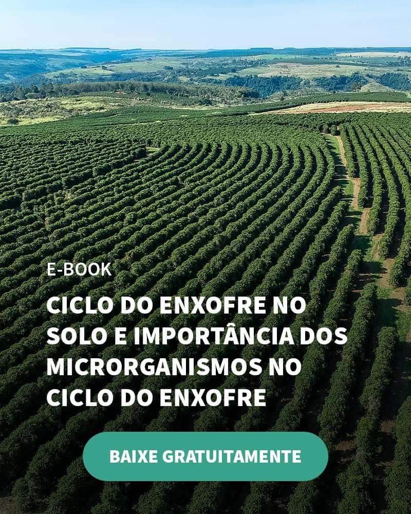 A Verde Agritech alia tecnologia e inovação para desenvolver fertilizantes de qualidade - Banner Ebook Blog 6