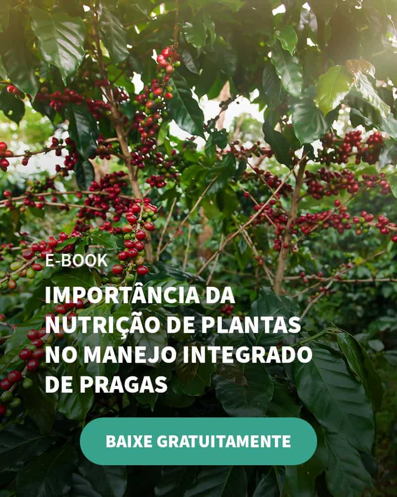 Novas Espécies De Cochonilha Ameaçam A Lavoura De Café: Descubra Métodos De Prevenção E Controle - Banner Ebook Blog 7