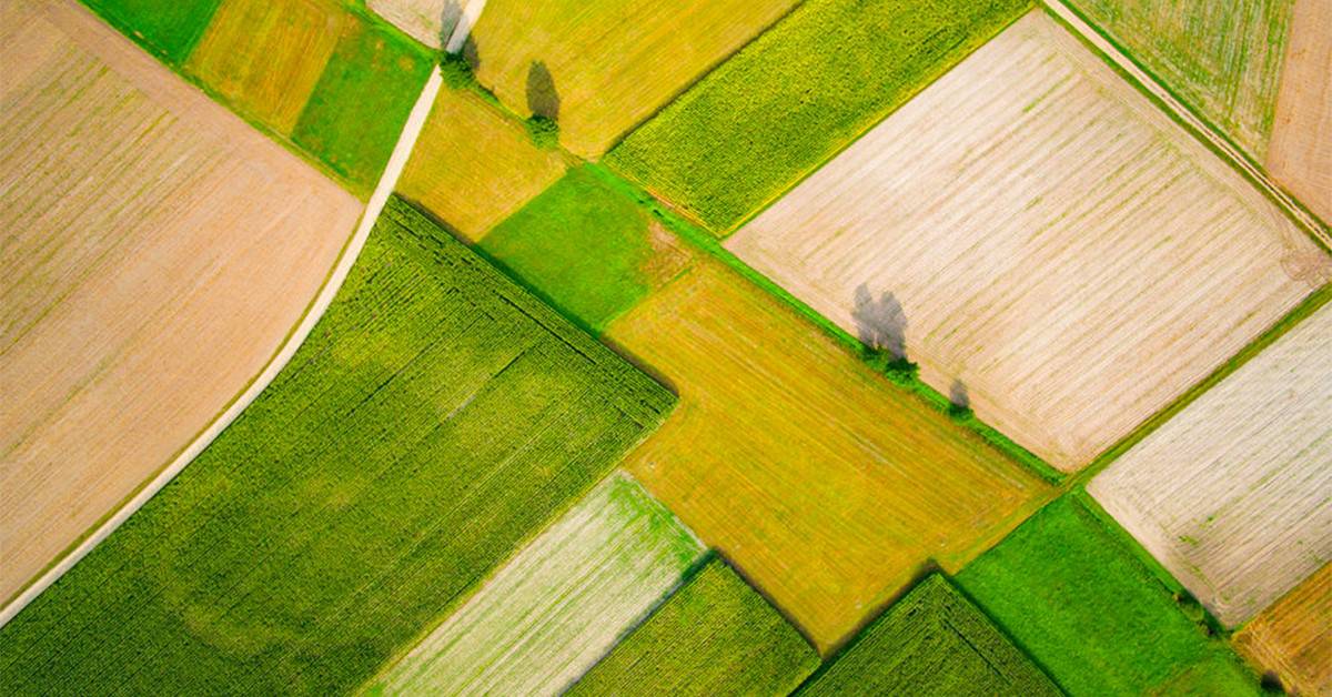 Conheça o BAKS®: o fertilizante com o ponto de enxofre mais econômico do Brasil