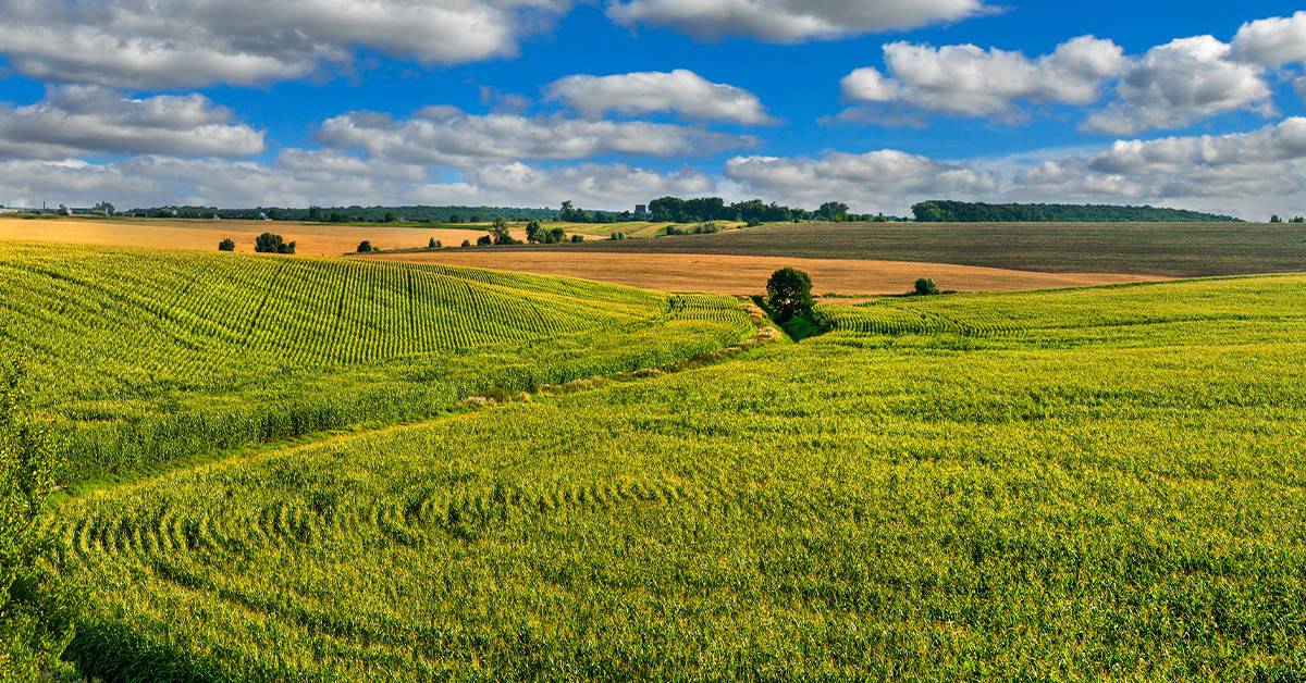 Garantia Estendida. se proteja de um dos maiores riscos da atividade agrícola!