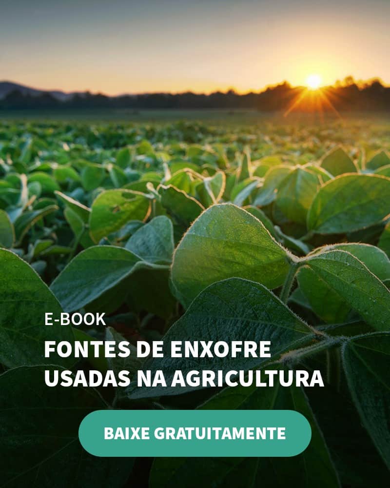 Enxofre: Conheça As Características Deste Nutriente E Sua Importância Na Agricultura - E Book01–Fontes De Enxofre Usadas Na Agricultura