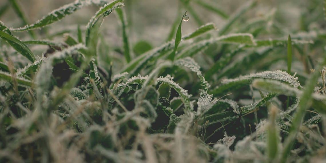Notícias agrícolas: condições climáticas severas ameaçam a produção agrícola no Sul do Brasil - Condicoes climaticas severas ameacam producao agricola no Sul do Brasil