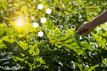 Entenda Quais São Os Impactos Da Nanotecnologia Na Agricultura