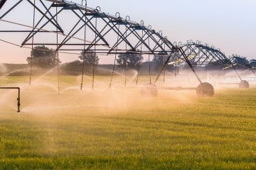 Pivô Central De Irrigação: Entenda As Vantagens E Desvantagens