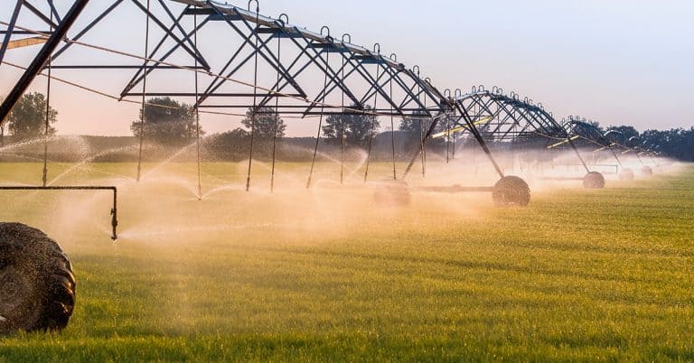 Pivô Central De Irrigação: Entenda As Vantagens E Desvantagens