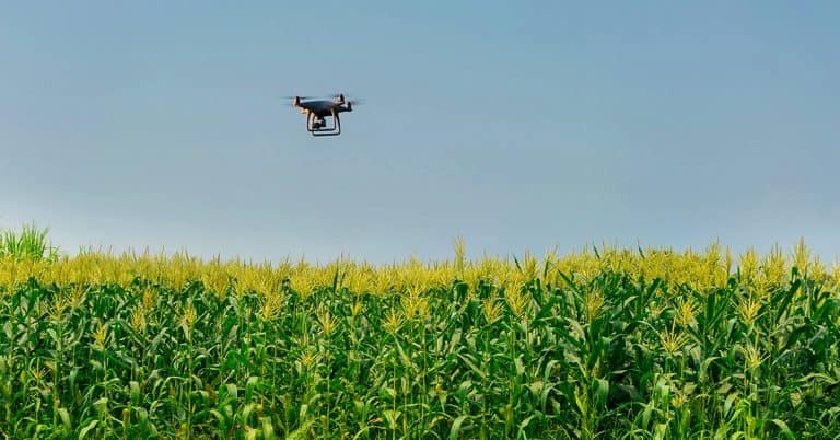 Tecnologia Na Agricultura: Entenda Como O Uso De Drones Pode Ser Vantajoso