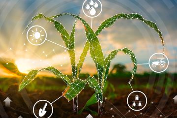 Tecnologia Na Agricultura: Saiba O Que É A Agricultura 5.0?