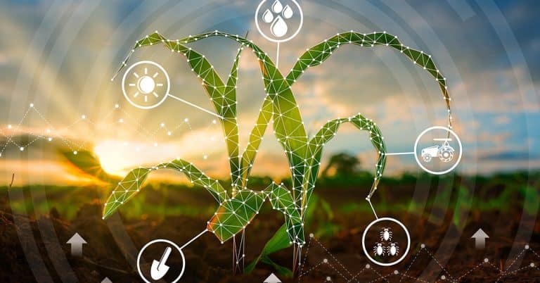 Tecnologia Na Agricultura: Saiba O Que É A Agricultura 5.0?