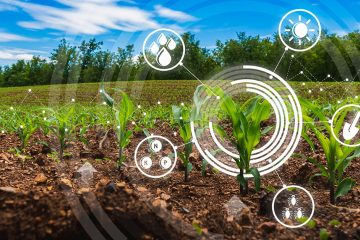 Big Data: Entenda Como Essa Tecnologia Tem Mudado Os Rumos Da Agricultura