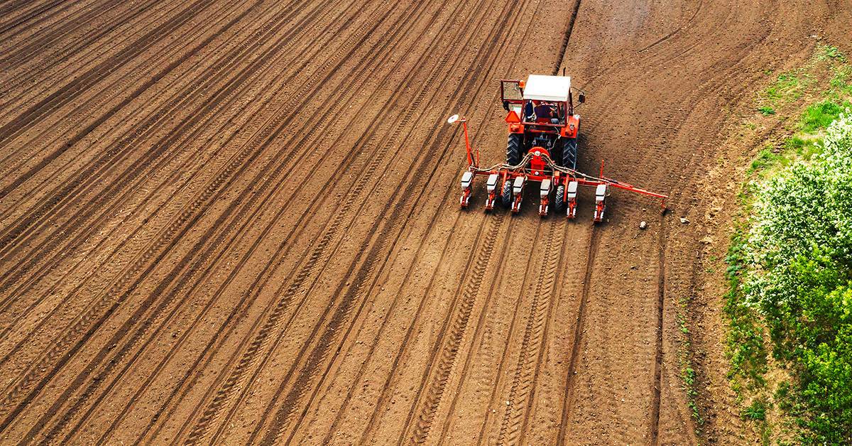Como a agricultura de precisão ajuda a melhorar o manejo?