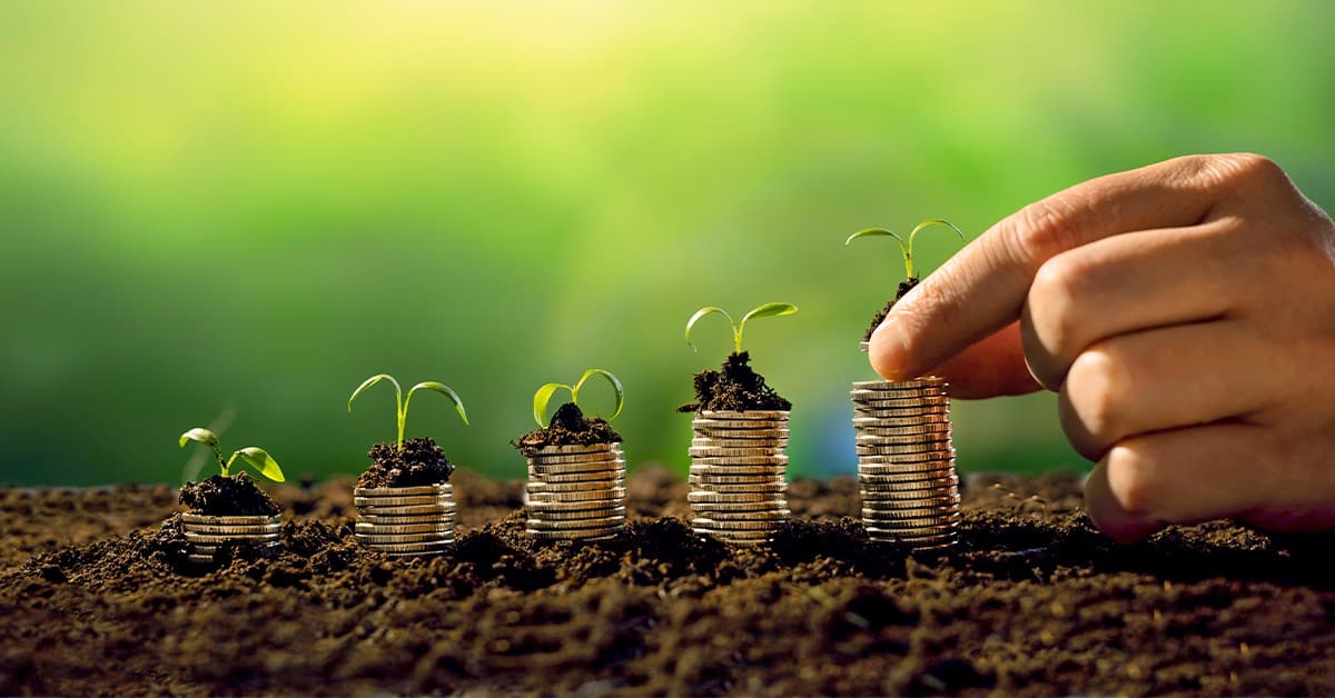 Crédito rural: como funciona o Pronamp e como ele ajuda o agricultor?