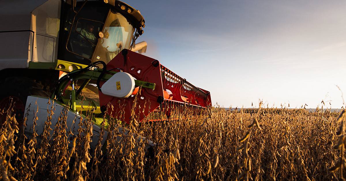 Noticias agrícolas. Colheita de soja no Brasil atinge 80,8% da área e apresenta bons rendimentos na safra 2022-23