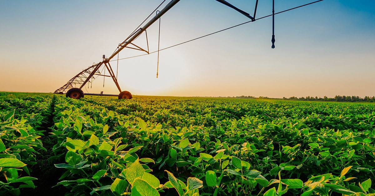 Pivô de irrigação na soja: quais são as vantagens e desvantagens?