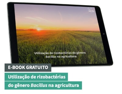 E-Book – Utilização De Rizobactérias Do Gênero Bacillus Na Agricultura - 04