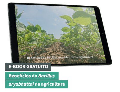 E-Book - Benefícios Do Bacillus Aryabhattai Na Agricultura - 05