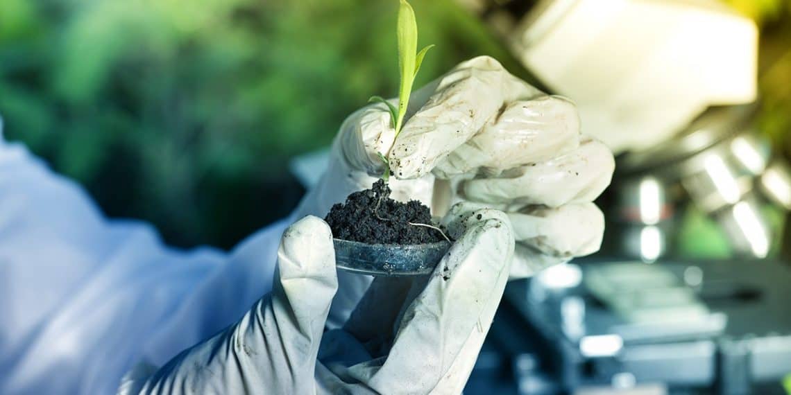 10 meios de usar a biotecnologia para melhorar o manejo agrícola