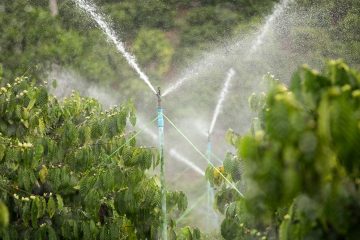 Entenda Mais Sobre O Uso Do Pivô De Irrigação No Café E Como Ele Melhora O Cultivo