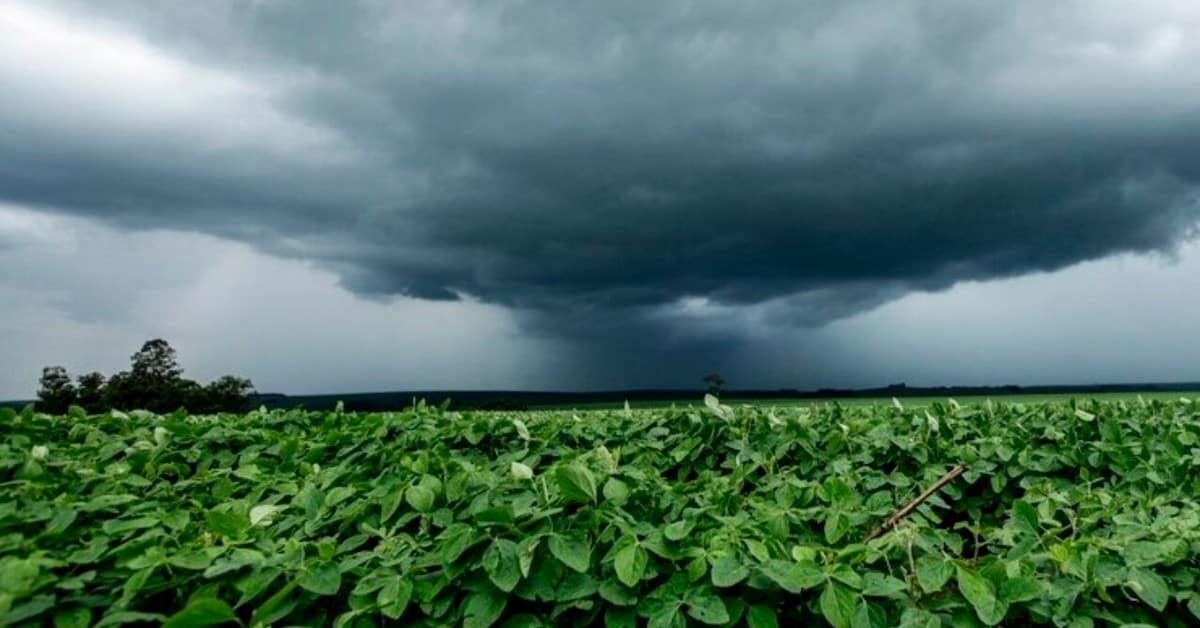 Notícias agrícolas: previsão de chuvas na Região Centro-Sul do Brasil para o final de semana, seguido por um período de baixas temperaturas