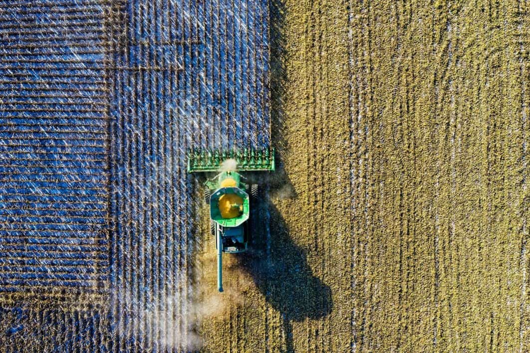 Preço da soja em queda contínua e o impacto disso em outras commodities agrícolas é destaque nas notícias agrícolas da semana