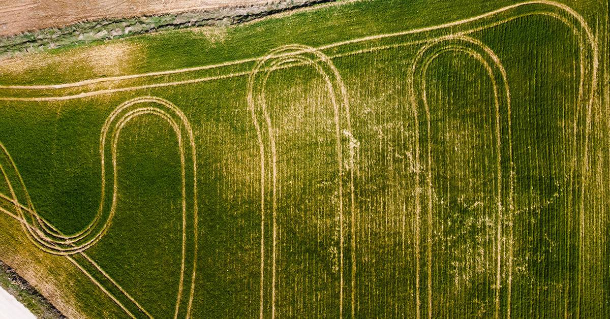 Veja como melhorar a irrigação da sua lavoura e ter mais produtividade!