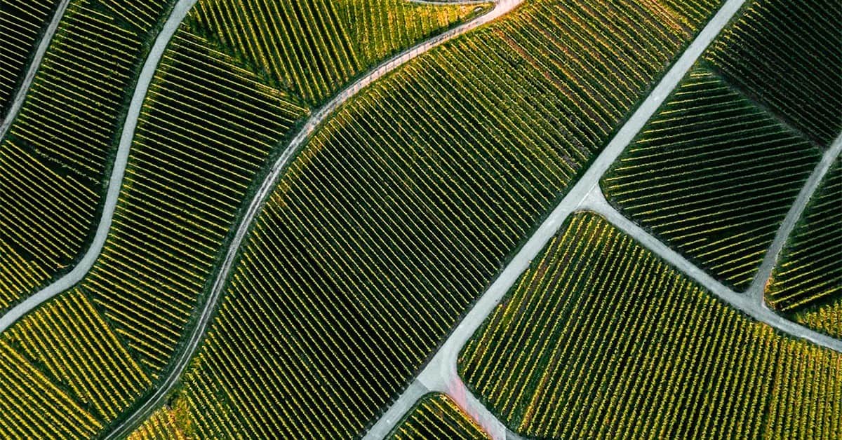 Especialistas alertam que o atraso na compra de fertilizantes pode causar gargalo logístico e prejudicar as próximas safras