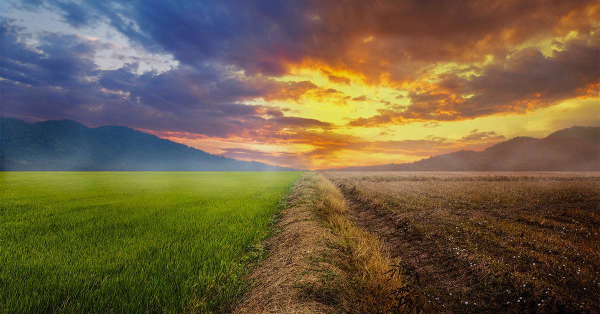 Início do inverno com altas temperaturas e baixa umidade do ar é destaque nas notícias agrícolas e preocupa agricultores