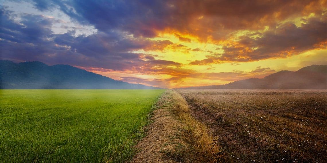Notícias agrícolas. nova previsão de chuvas pode trazer alívio para regiões do centro-sul do Brasil