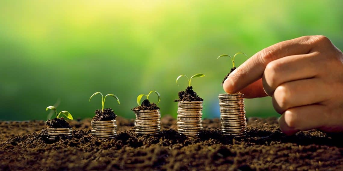 Plano Safra 2023/2024: investimento de R$ 364,2 bilhões é destaque nas notícias agrícolas