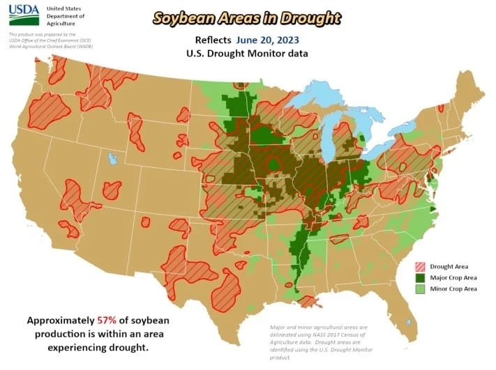 Regiões que cultivam soja afetadas pela seca