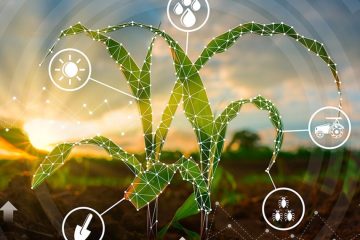 Veja 7 Maneiras Como A Nanotecnologia Otimiza A Agricultura