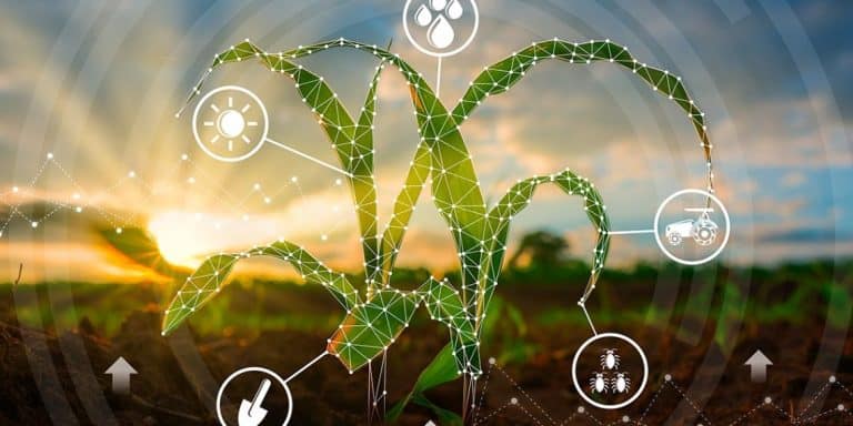 Veja 7 Maneiras Como A Nanotecnologia Otimiza A Agricultura