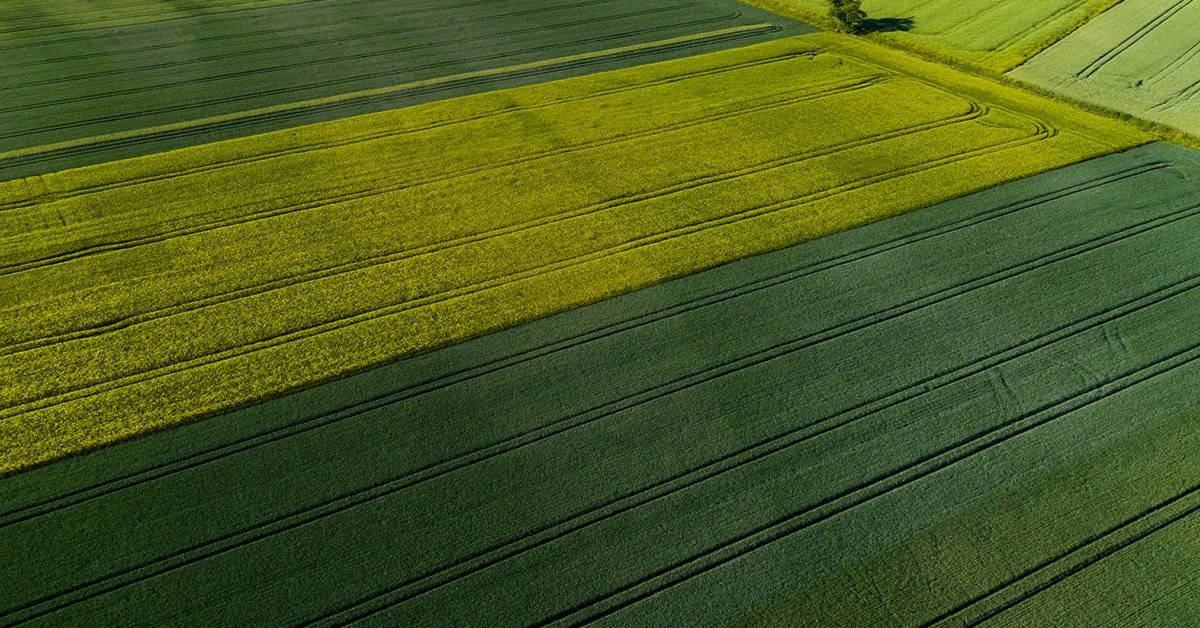Aumento do poder de compra de fertilizantes pode agravar gargalo logístico nos próximos meses