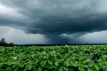 Notícias Agrícolas: Ciclone Extratropical Se Aproxima E Deve Causar Mudanças No Clima A Partir Do Final De Semana