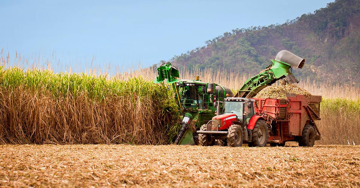 Novas diretrizes para financiamento de máquinas e equipamentos pelo Plano Safra são anunciadas pelo Ministério da Fazenda