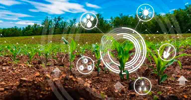 Fenacampo: Evento Do Agro Traz Aos Agricultores Oportunidades De Conhecer Novas Tecnologias E De Realizar Negócios