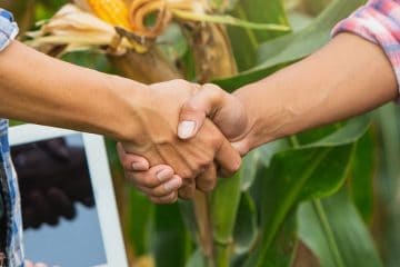 Notícias Agrícolas: Plano Safra Tem Aporte Adicional De R$5,1 Bilhões Para O Agronegócio E Agricultura Familiar