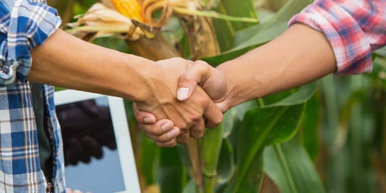 Notícias Agrícolas: Plano Safra Tem Aporte Adicional De R$5,1 Bilhões Para O Agronegócio E Agricultura Familiar