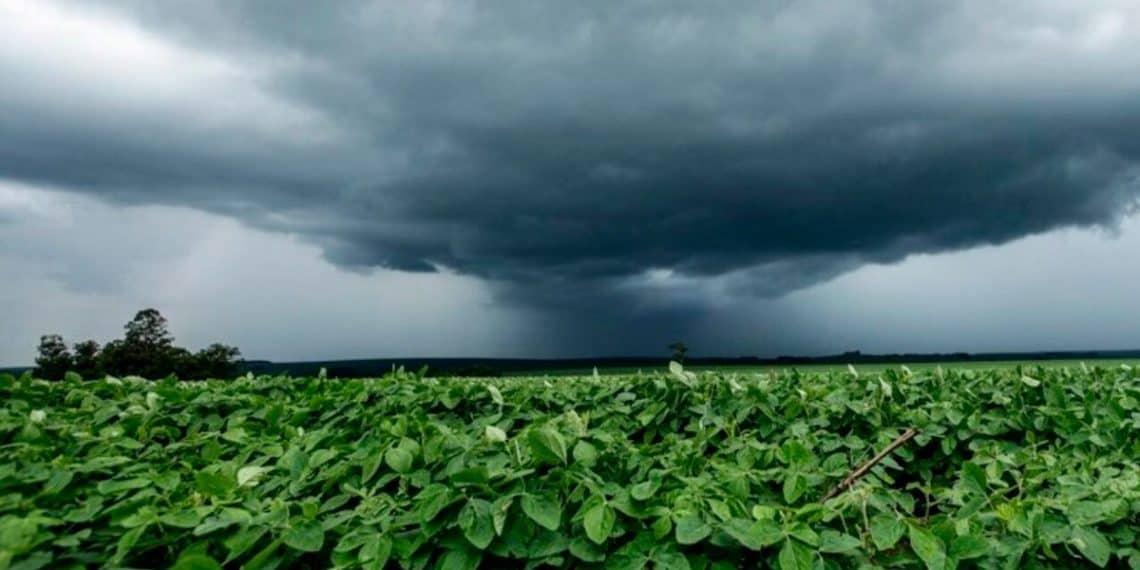 Alerta Do Inmet Sobre Chuvas Irregulares E Riscos De Granizo É Destaque Nas Notícias Agrícolas - Alerta Do Inmet Sobre Chuvas Irregulares E Riscos De Granizo