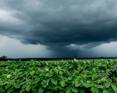 Alerta Do Inmet Sobre Chuvas Irregulares E Riscos De Granizo É Destaque Nas Notícias Agrícolas - Alerta Do Inmet Sobre Chuvas Irregulares E Riscos De Granizo